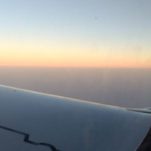 Meet your Posher, Serena